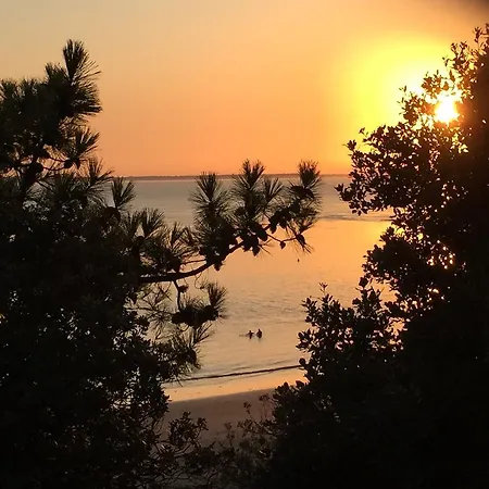 Chez Pierrot Et Gisele * Meschers-sur-Gironde