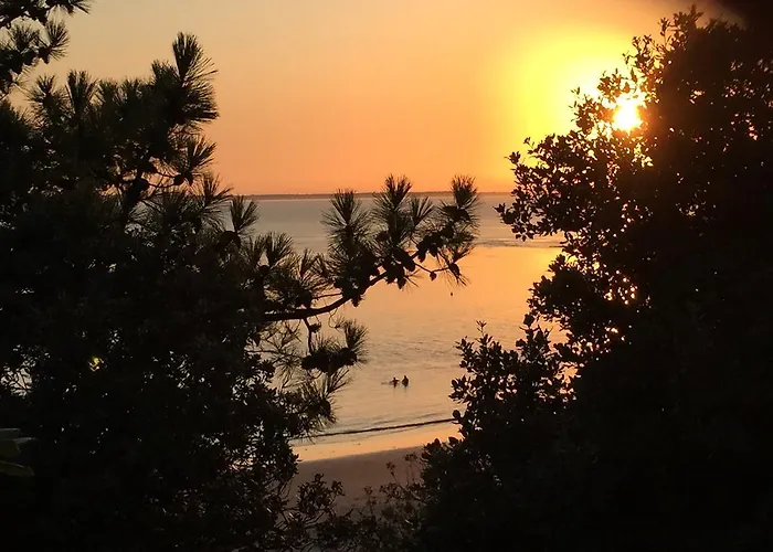 Chez Pierrot Et Gisele * Meschers-sur-Gironde